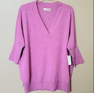 By Anthropologie Merino Wool Oversized Relaxed Slouchy V-Neck Sweater - Size M